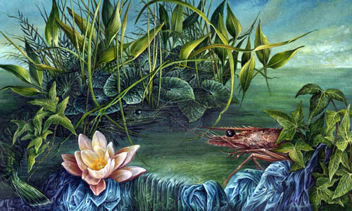 Dietrich Schuchardt - Aus Meinem Garten (From My Garden) - Seerose (Water Lilies) - 2005 gouache on board